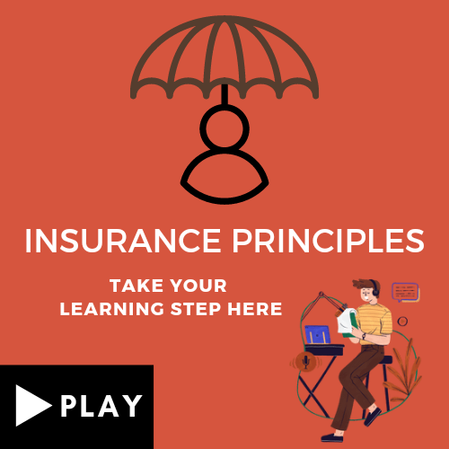 Principles of Insurance