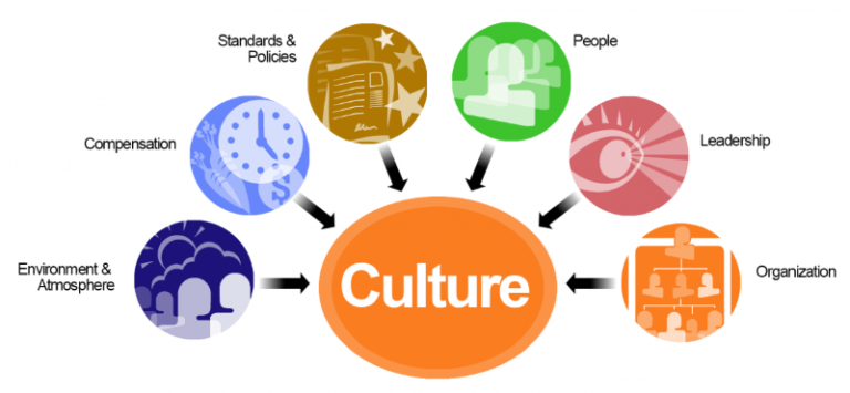 The Importance of Organizational Culture in the Workplace